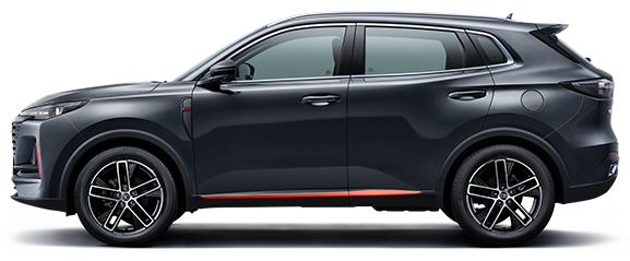 Жұлдызды сұр