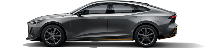 Жұлдызды сұр