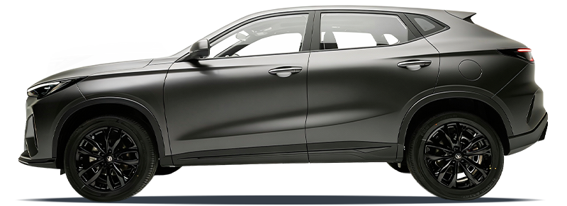 Звездный серый